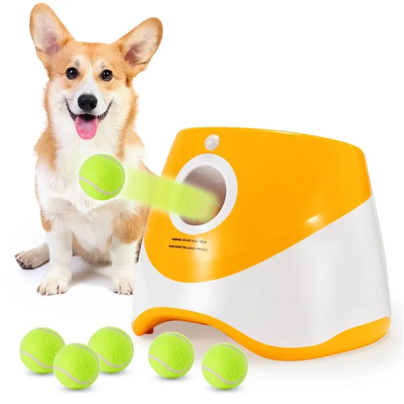 Catapult For Dogs Ball Launcher Dog Toy Tennis Ball Launcher Jumping Ball Pitbull Toys Tennis Ball Machine Automatic Throw Pet - Doggsandcatslover