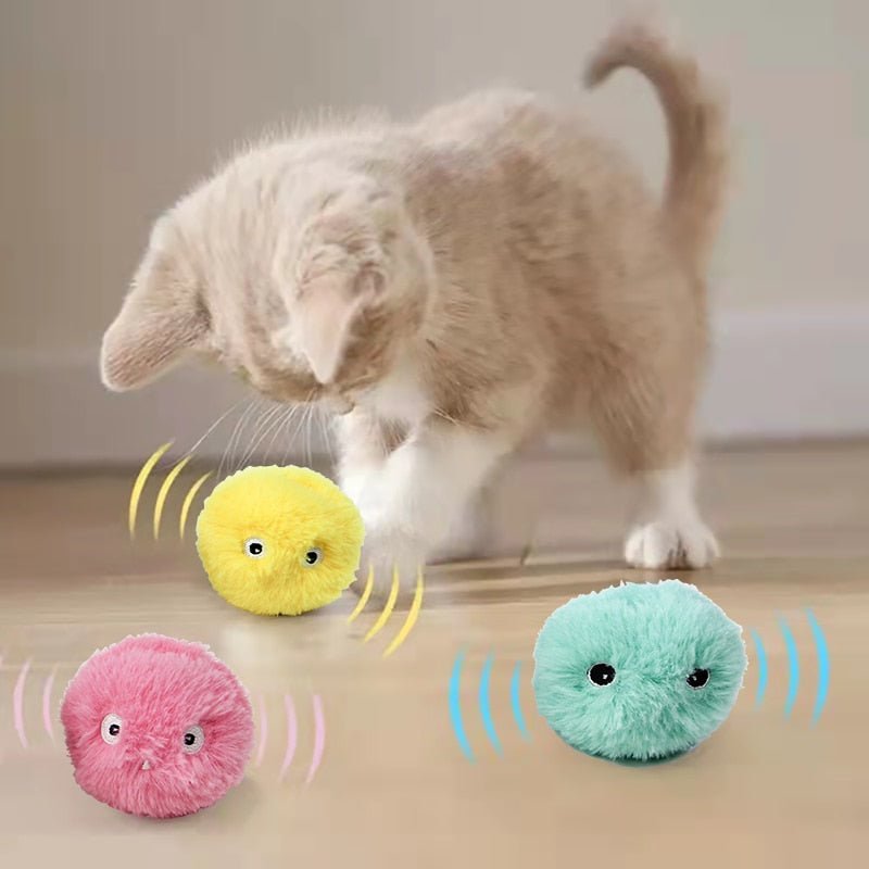 Plush Electric Catnip Training Toy - Doggsandcatslover